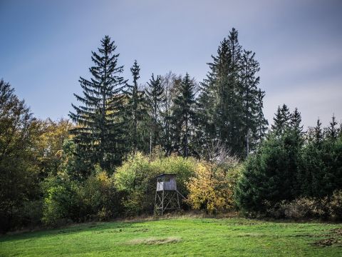 Ilustračné foto: Pixabay.com 