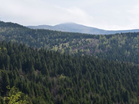 Ilustračné foto: Jozef Marko 