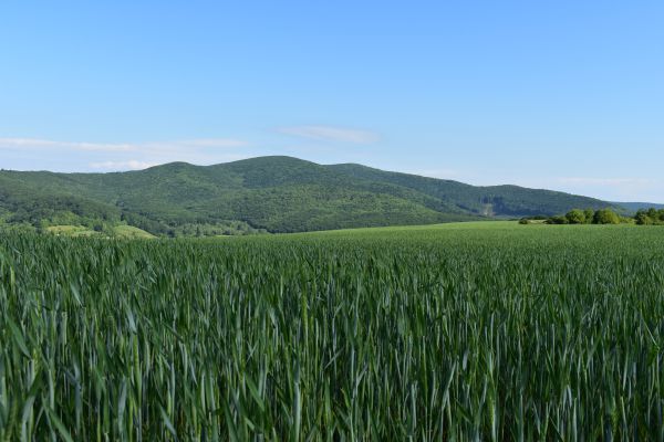 Ilustračn&eacute; foto Jozef Marko