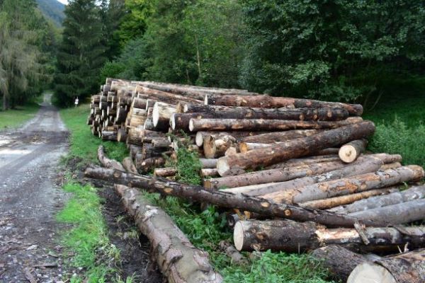 Ilustračn&eacute; foto Jozef Marko