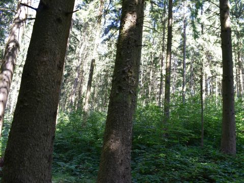 Ilustračné foto: Jozef Marko 