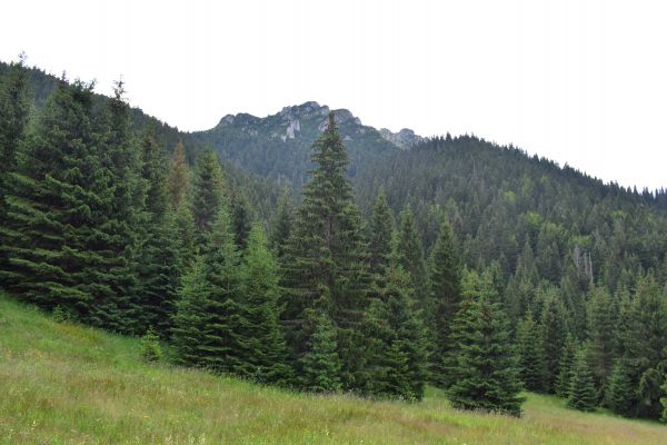 Národný park Malá Fatra