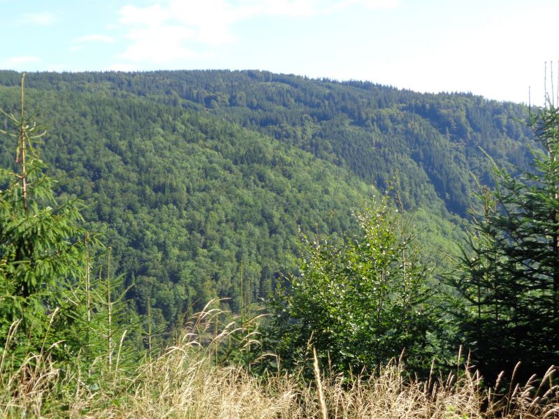 Zdroj: FB profil Dušana Ramaja