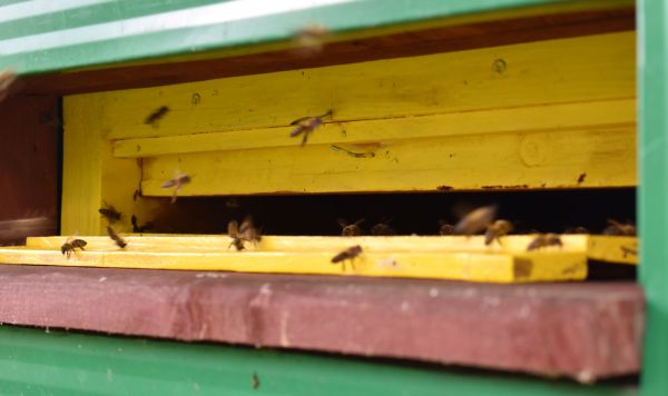 Ilustračné foto: Jozef Marko 