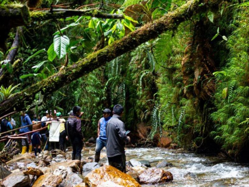 Zdroj: Internetov&aacute; str&aacute;nka MENDELU 