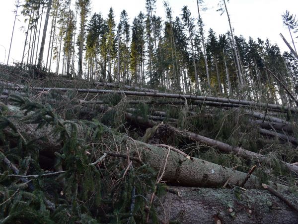 Ilustračné foto: Jozef Marko 