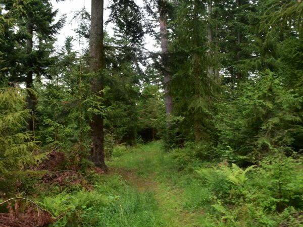 Ilustračné foto: Jozef Marko 