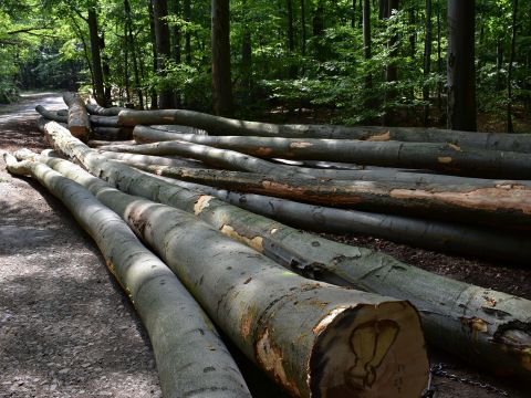 Ilustračné foto: Jozef Marko 