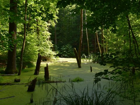 Ilustračné foto: Jozef Marko 