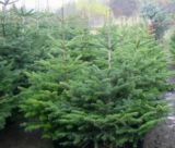 Ilustračn&eacute; foto it