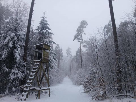 Zdroj: FB profil Ing. Róberta Gombárika 