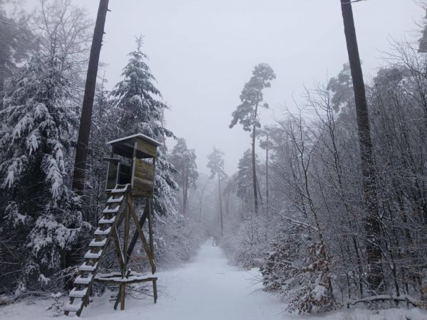 Zdroj: FB profil Ing. R&oacute;berta Gomb&aacute;rika 