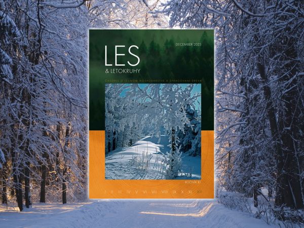 LES &amp; Letokruhy DECEMBER 2025