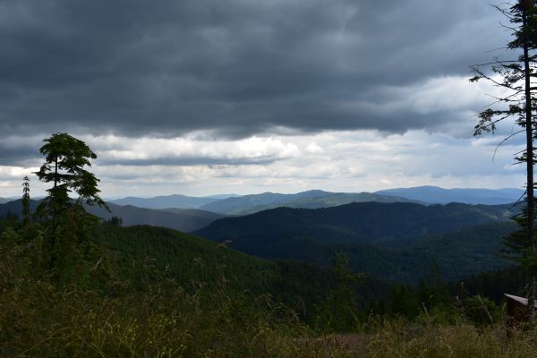 Mračná nad slovenskými lesmi 