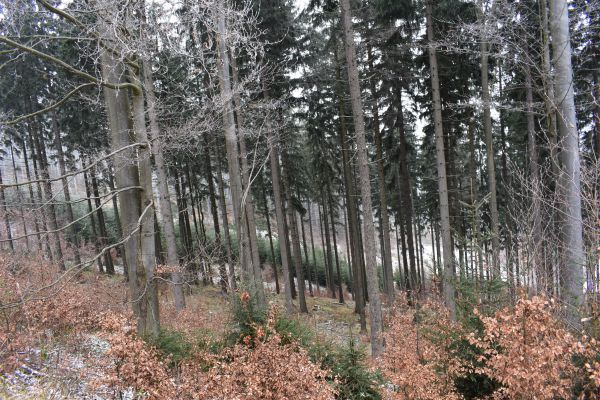 Ilustračn&eacute; foto Jozef Marko