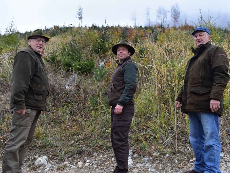 Urbárnici z Liptovskej Sielnice pri obnovených kalamitných plochách 