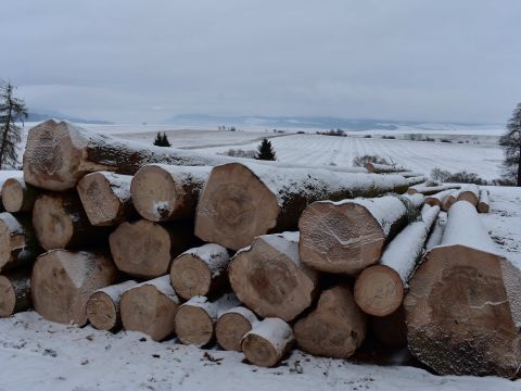 Ilustračné foto: Jozef Marko 