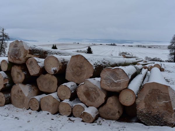 Ilustračn&eacute; foto: Jozef Marko 