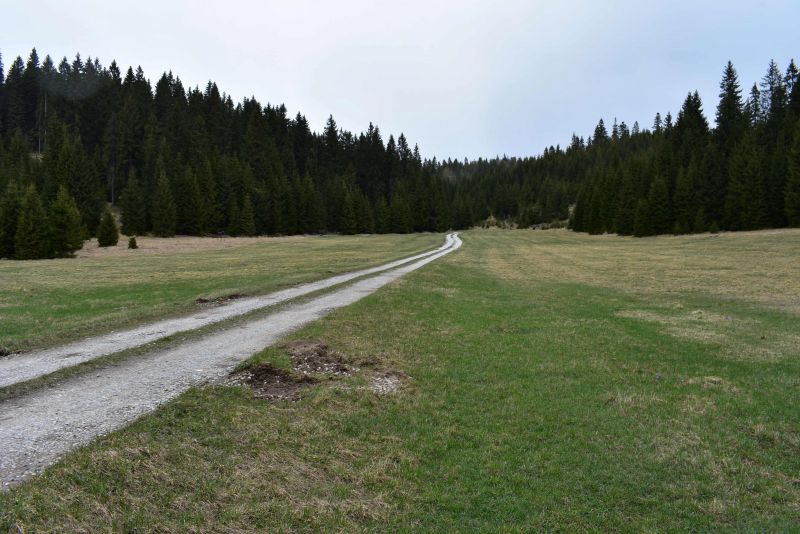 Pastviny na Muránskej planine 