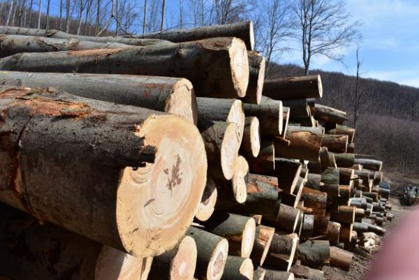 Ilustračn&eacute; foto Jozef Marko