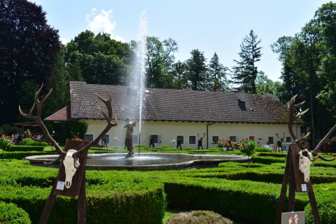 Ukážka poľovníckych trofejí V Betliari