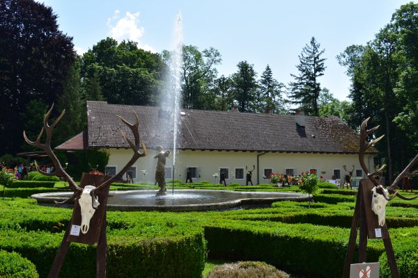 Uk&aacute;žka poľovn&iacute;ckych trofej&iacute; V Betliari