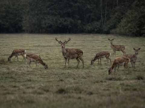 Zdroj: Internetová stránka MPaRV SR 