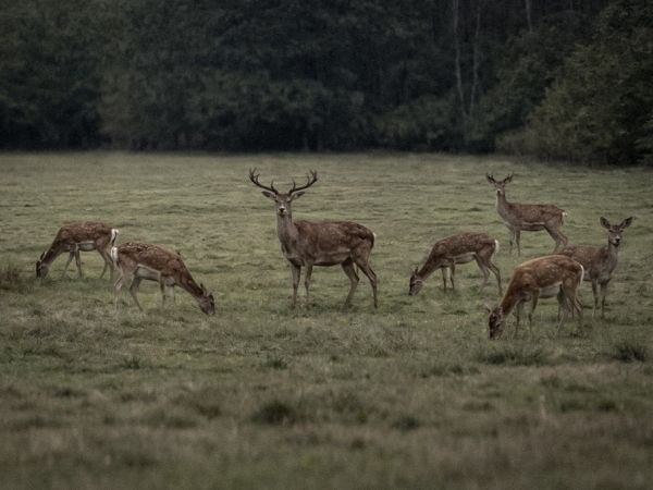 Zdroj: Internetov&aacute; str&aacute;nka MPaRV SR 