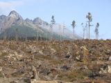 Vysoké Tatry po ničivej víchrici z 19. novembra 2004