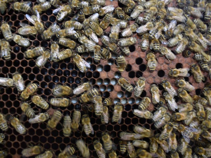 Ilustračné foto: Jozef Marko 