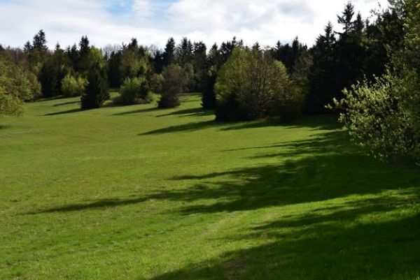 Ilustračn&eacute; foto Jozef Marko