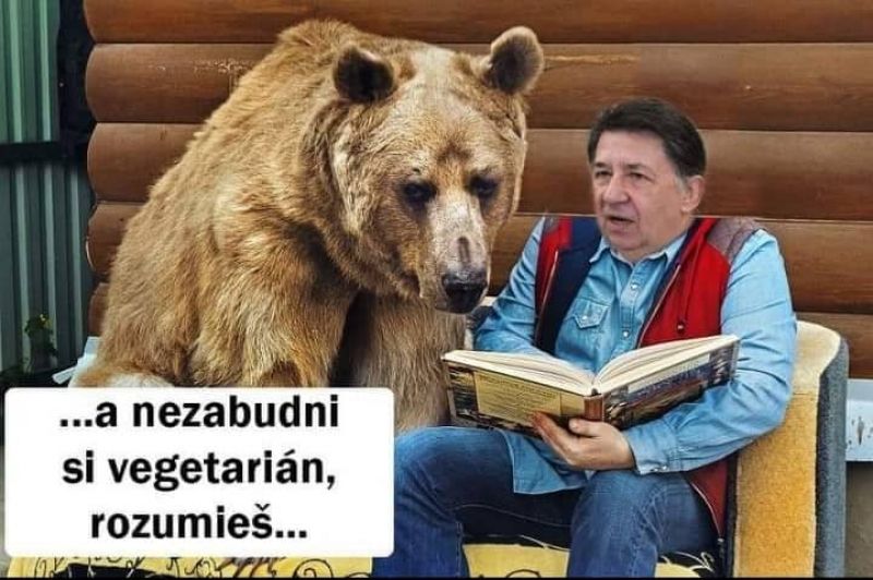 Jeden z ironických obrázkov na adresu výroku ministra Budaja o medveďich vegetariánoch 