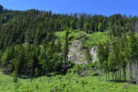 V Javorovej doline v dôsledku ochránarmi nariadeného bezzásahu vznikajú eróziou degradované lokality, na ktoré sa les už nikdy nevráti 