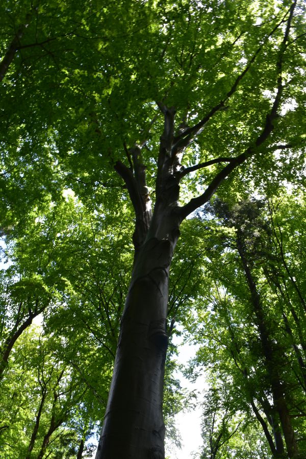 Ilustračn&eacute; foto Jozef Marko