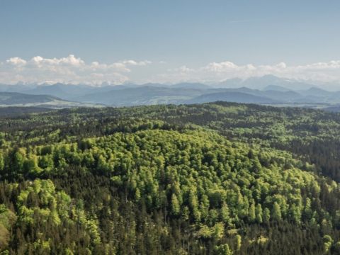 Zdroj: FB stránka Rakúskych spolkových lesov 