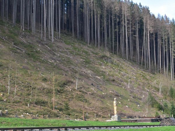 Kalamita vo Vydrovskej doline pri Čiernom Balogu 