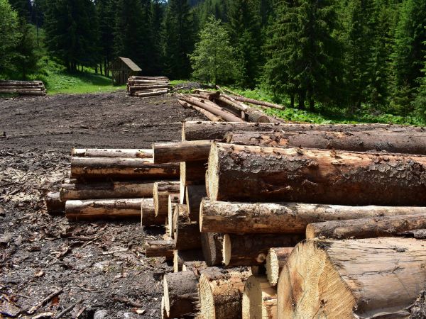 Ilustračné foto: Jozef Marko 