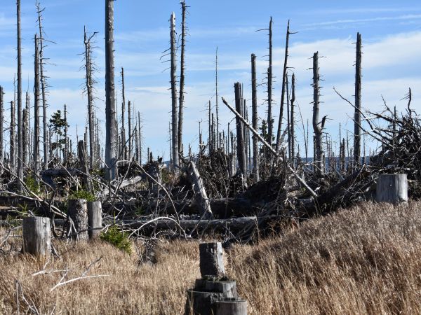 Ilustračné foto: Jozef Marko 