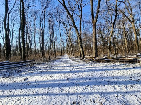 Zdroj: FB profil Róberta Gombárika 