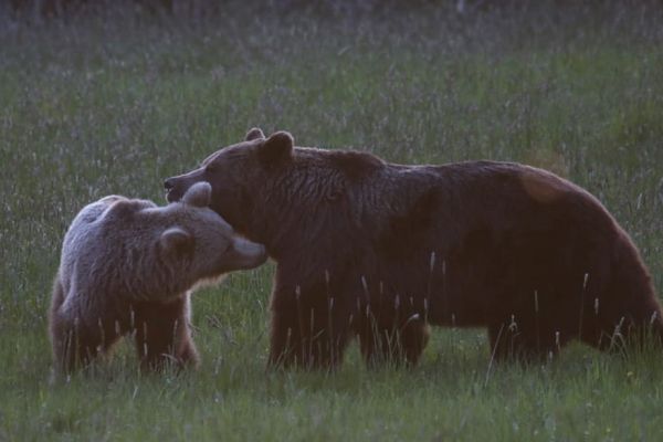 Ilustračn&eacute; foto: FB profil Pavla Lenka 