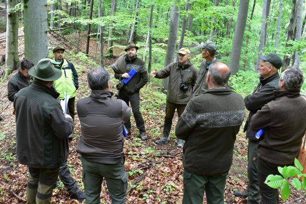 Diskusia o zvolených postupoch členov Výboru PRO SILVA s miestnymi lesníkmi v porastoch LS Hanušovce OZ Prešov LESY SR, š.p. 