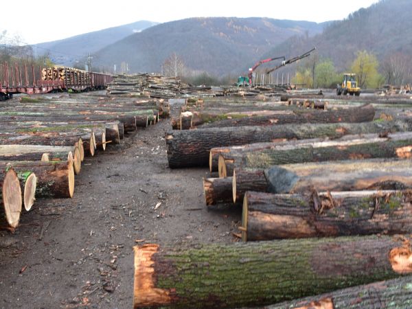 Ilustračné foto: Jozef Marko 