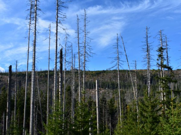 N&aacute;rodn&yacute; park &Scaron;umava 