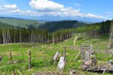 Lesníci oplocujú obnovované kalamitné plochy, aby ochránili mladé lesné kultúry pred škodami, spôsobené zverou 