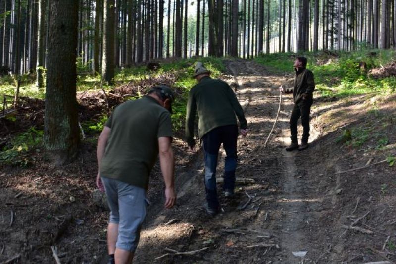 Vlastníci lesných pozemkov vo Vrátnej doline v Národnom parku Malá Fatra 