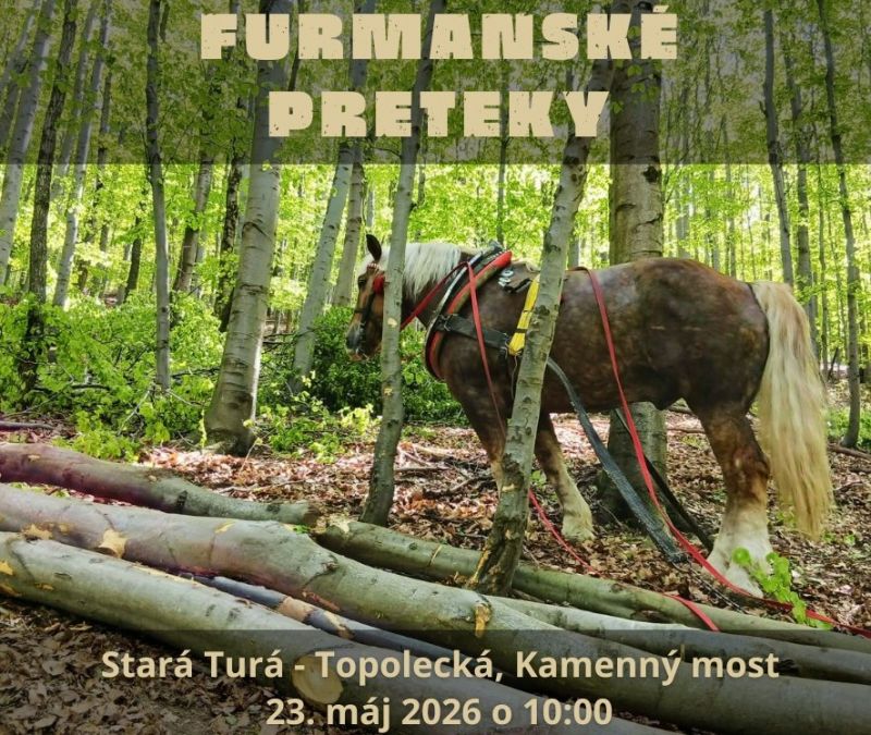 Furmanské preteky v lesoch mesta Stará Turá: Dokonalá spolupráca človeka a koňa