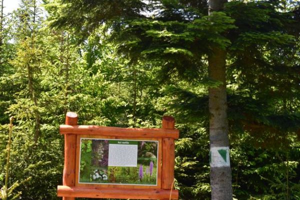 Z&aacute;ber z Lesov mesta Podol&iacute;nec, kde p&ocirc;sob&iacute; Ing. Pavel Homola 