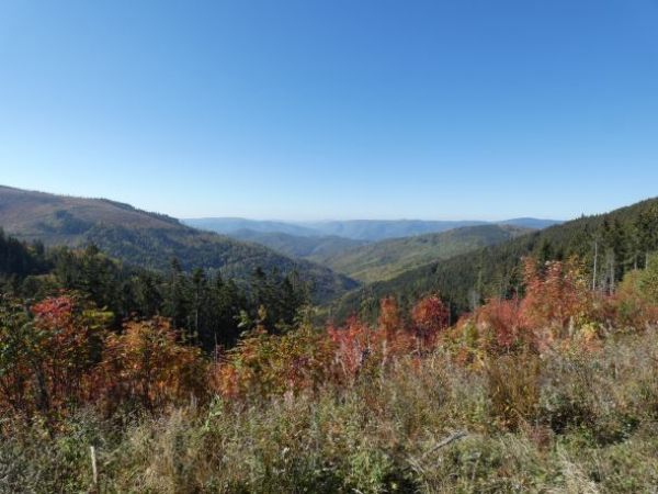 Ilustračn&eacute; foto: Ing. Marek Nosko 