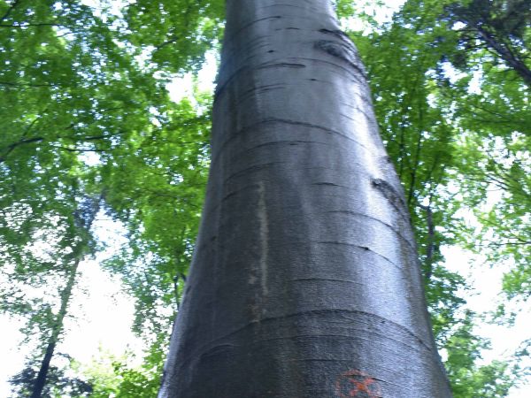 Ilustračné foto: Jozef Marko 