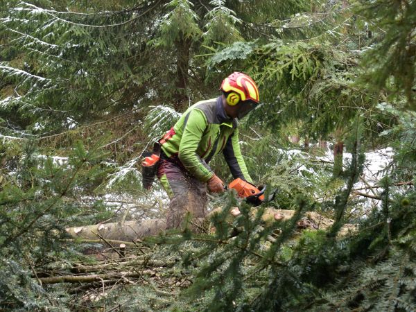 Ilustračn&eacute; foto: Jozef Marko 